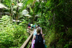 El Yunque